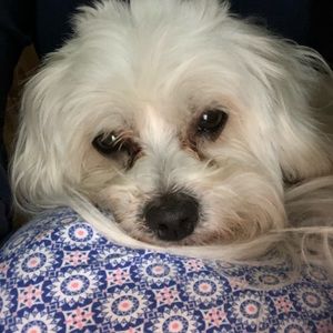 Meet your Posher, Christen